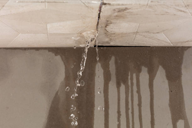 Professional Water Damage Repair technician working in Hathorne, MA